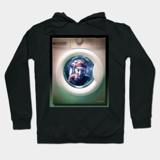 The Wash Cycle Hoodie